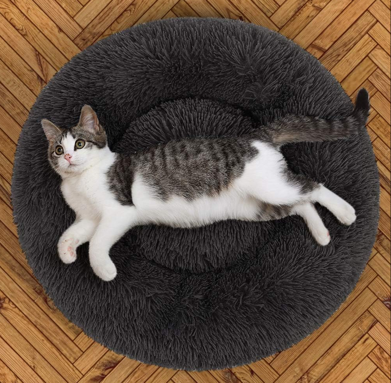 Cat Bed Pet Bed