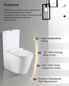 Back to Wall Toilet Suite Rimless