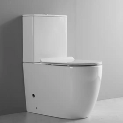 Back-to-Wall Toilet Suite Rimless