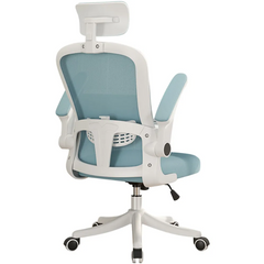 Office Chair Ergonomic Office Chair with Back Support
