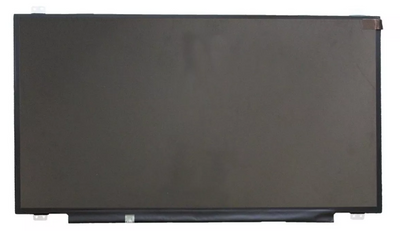 17.3 Inch Replacement Laptop Screen LCD 30 Pin Screen