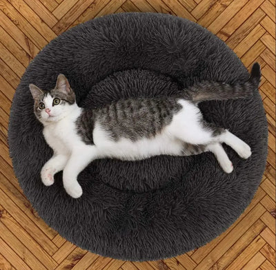 Cat Bed Pet Bed +  Snap Deal.