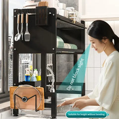 Dish Drying Rack Storage with Cover +  Snap Deal.
