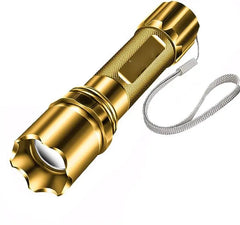 LED Tourch Light +  Snap Deal.