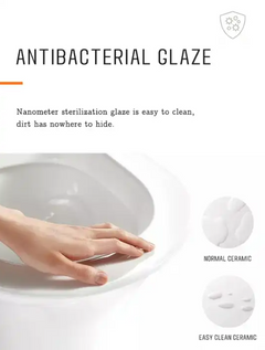 Back to Wall Toilet Suite Rimless Promo +  Snap Deal.