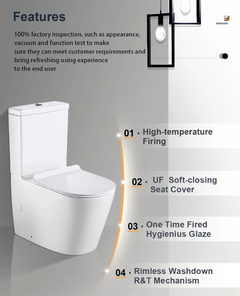 Back to Wall Toilet Suite Rimless Promo +  Snap Deal.