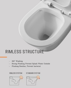 Back to Wall Toilet Suite Rimless Promo +  Snap Deal.