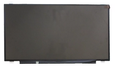17.3 Inch Replacement Laptop Screen LCD 30 Pin Screen +  Snap Deal.