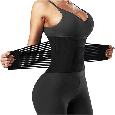 Back Support Belt