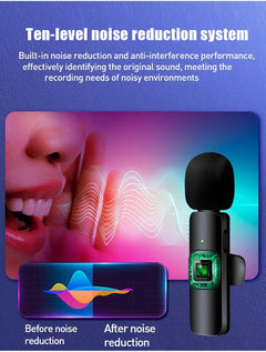2 in 1 Portable Mini Clip-On Microphone Wireless Recording Live Stream Vlogs Microphone