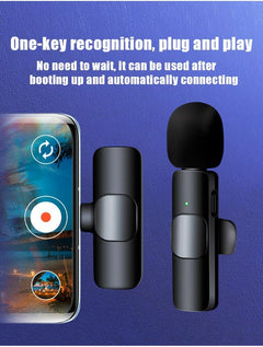 2 in 1 Portable Mini Clip-On Microphone Wireless Recording Live Stream Vlogs Microphone