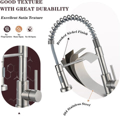Kitchen Faucet with Pull Out Spray Spring Sink Kitchen Mixer Tap with Pull Down Sprayer