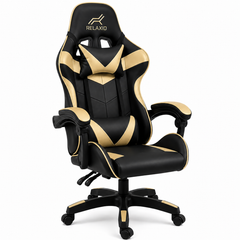 Ergonomic Gaming Chair with RGB LED Gaming Desk – Combo Set