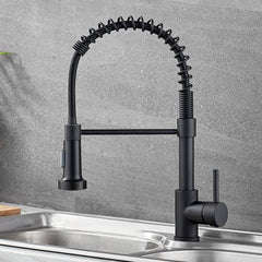 Kitchen Faucet with Pull Out Spray Spring Sink Kitchen Mixer Tap with Pull Down Sprayer