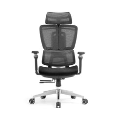 Premium Ergonomic Mesh Office Chair with Adjustable 3D Headrest, 5D Armrests & Reclining Back Support