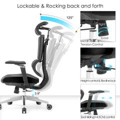 Premium Ergonomic Mesh Office Chair with Adjustable 3D Headrest, 5D Armrests & Reclining Back Support