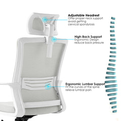 Modern Ergonomic Office Desk Chair with Mesh Back Support