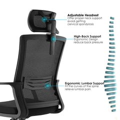Modern Ergonomic Office Desk Chair with Mesh Back Support
