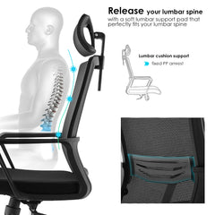 Modern Ergonomic Office Desk Chair with Mesh Back Support