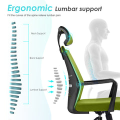 Ergonomic High Back Mesh Office Chair Modern Comfort & Support