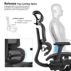 Ergoflex Pro High Back Mesh office chair with Footrest